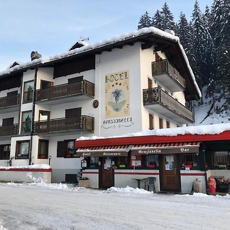 Hotel Genzianella Presenaio 외부 사진